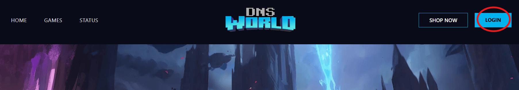 DNSworld Login