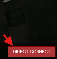 DayZ Direct Connection