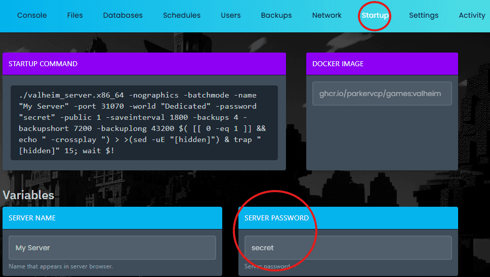 Valheim Server Password