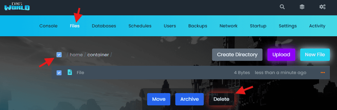 Minecraft Server Files Directory