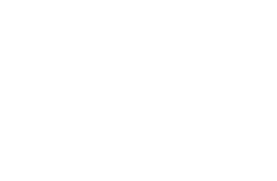 Project Zomboid Logo white