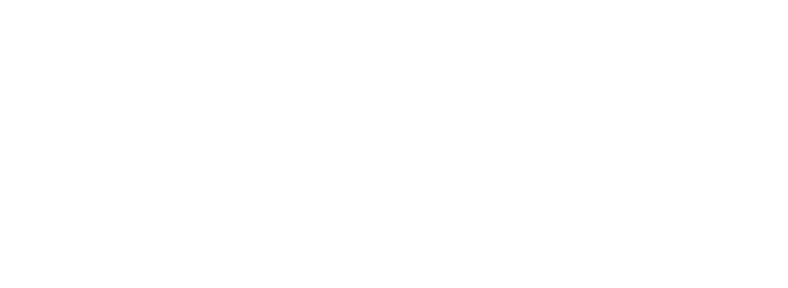 Project Zomboid Logo white