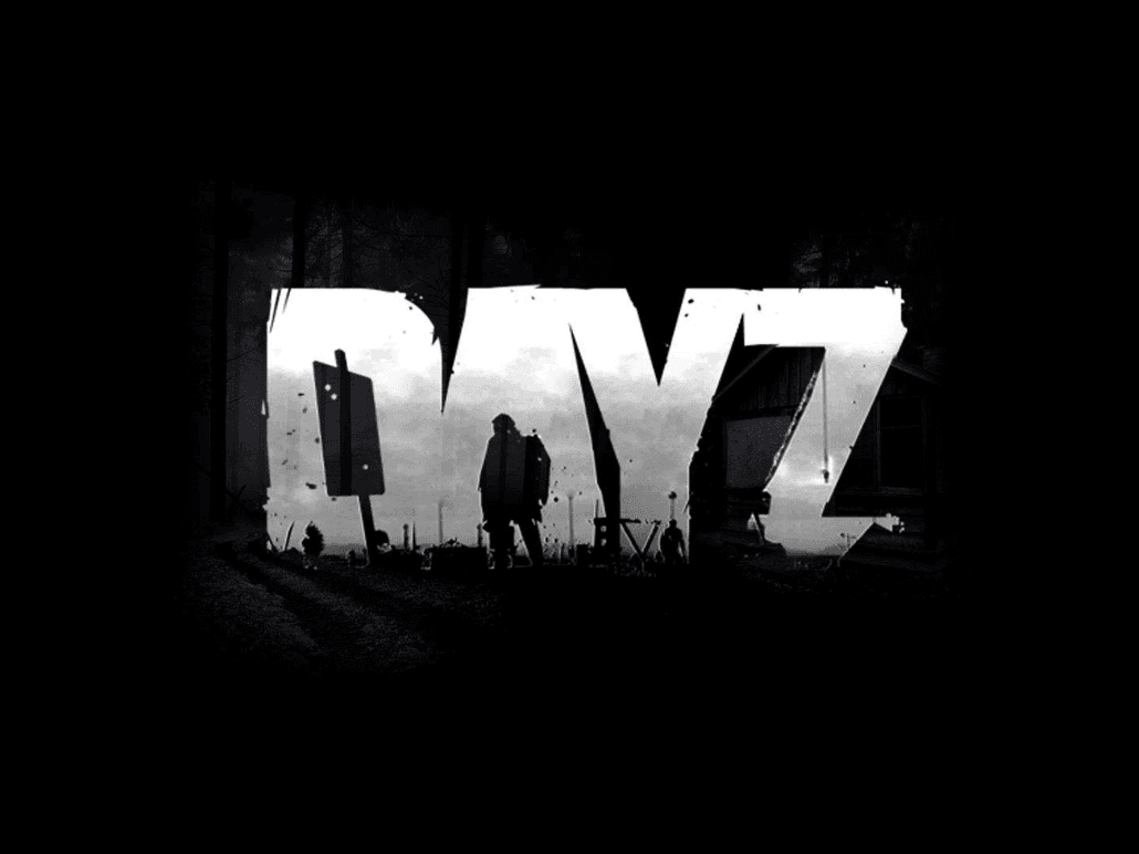 The DayZ screen capture