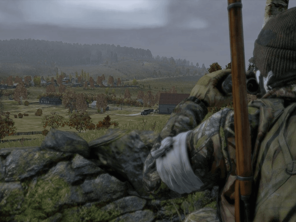 The DayZ screen capture